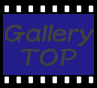 to Gallery Top