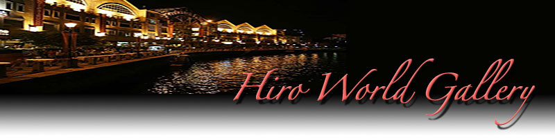 Hiro World Gallery Banner